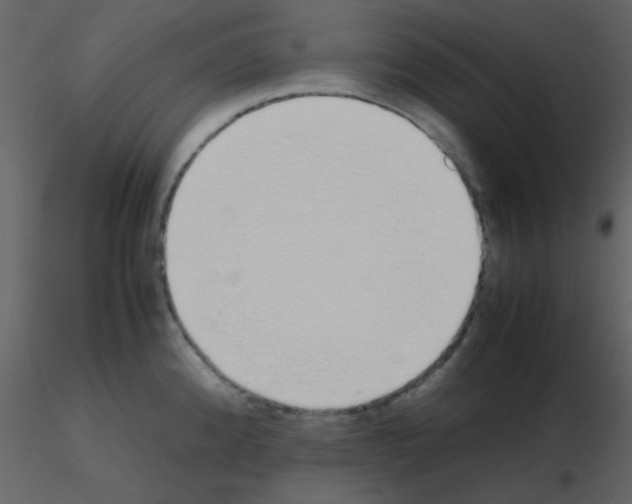 X0000115741192200912241641