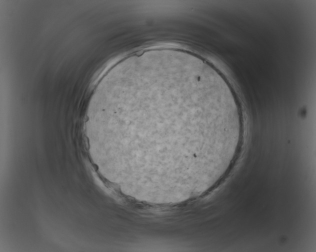 X0000115741193200912241641