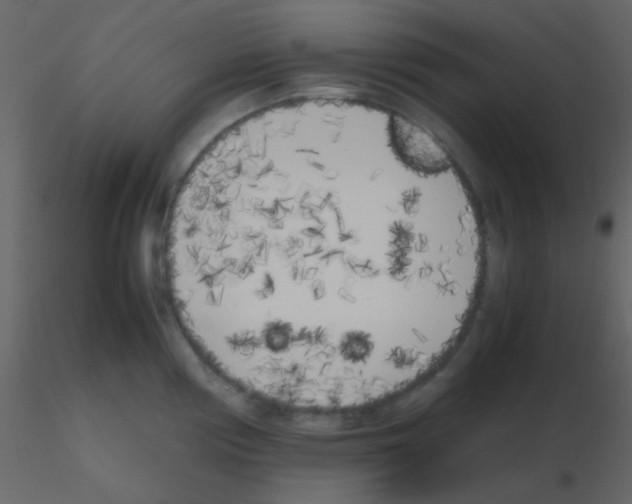 X0000115741194200912241641