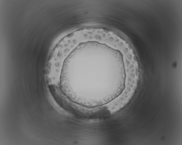 X0000115741195200912241641