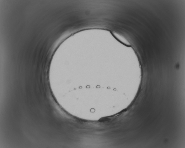 X0000115741197200912241640