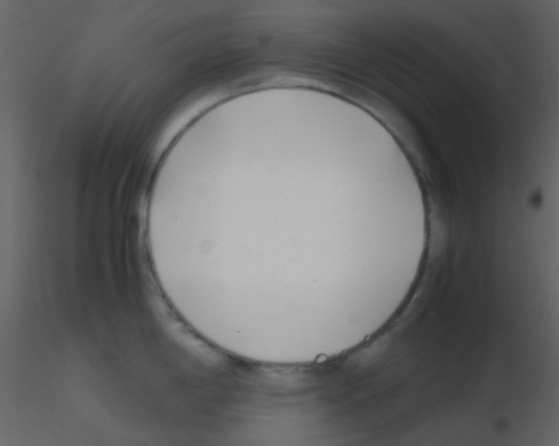 X0000115741198200912241640