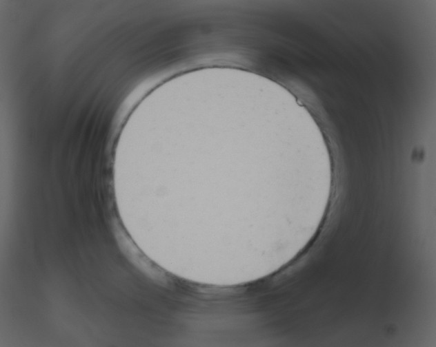 X0000115741200200912241640