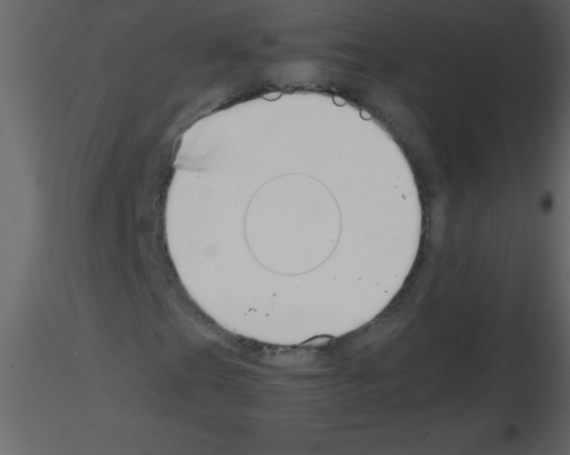 X0000115741201200912241640