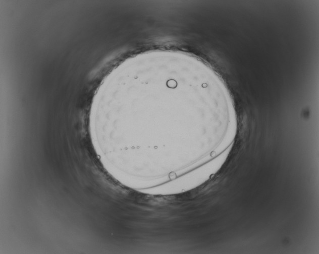 X0000115741205200912241640