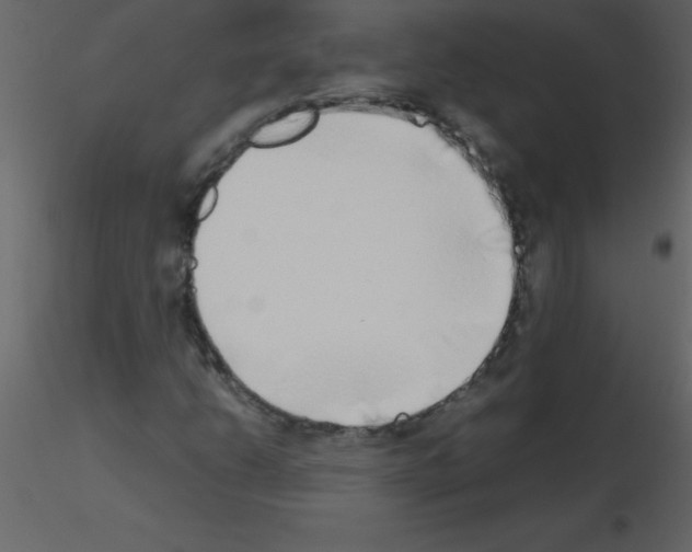 X0000115741206200912241640