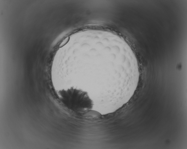 X0000115741208200912241640