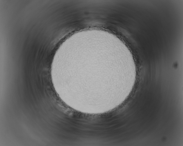 X0000115741209200912241640