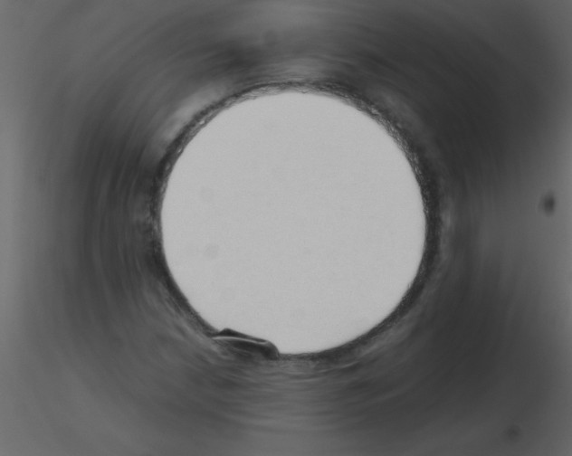 X0000115741210200912241640