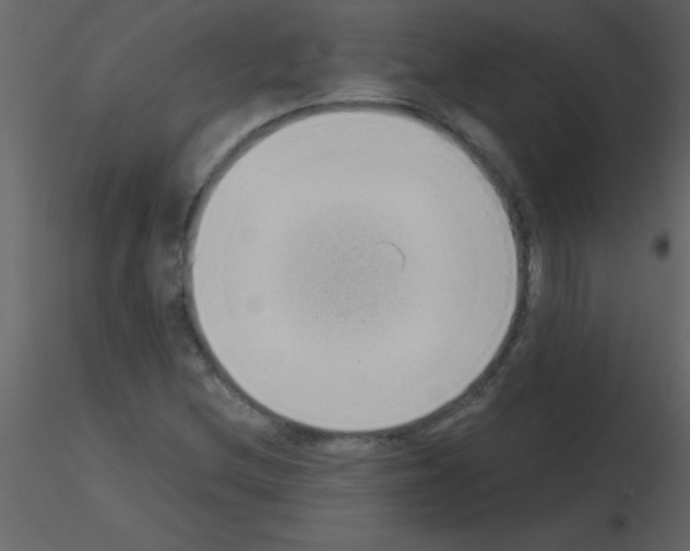 X0000115741212200912241640