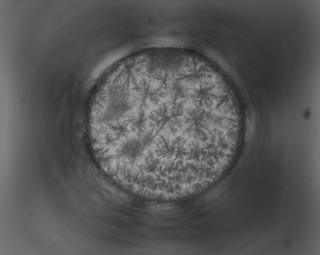 X0000115741213200912241640