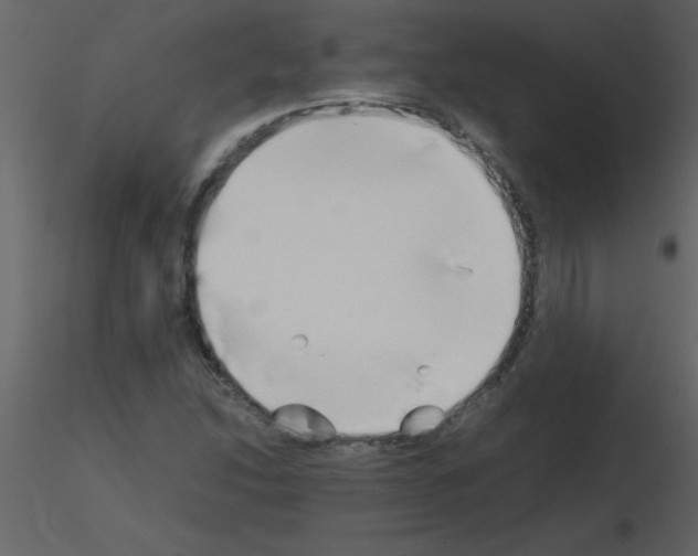 X0000115741214200912241640