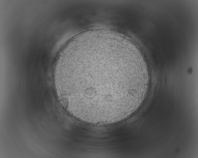 X0000115741215200912241640