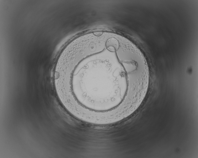 X0000115741216200912241640