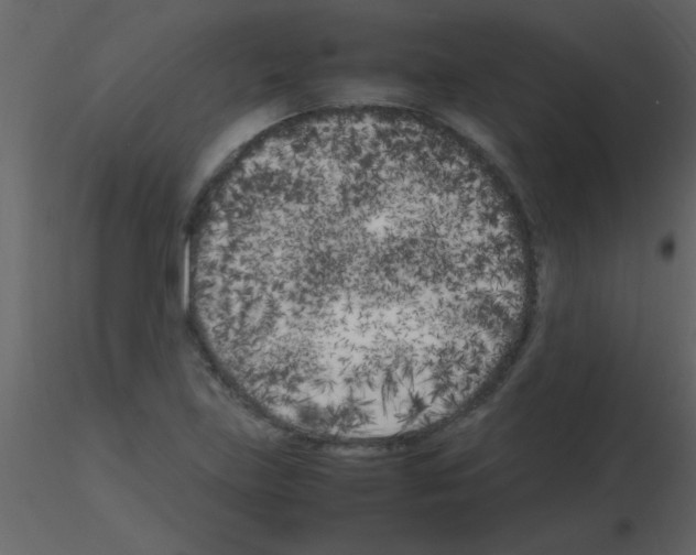 X0000115741219200912241640