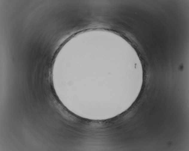 X0000115741220200912241640