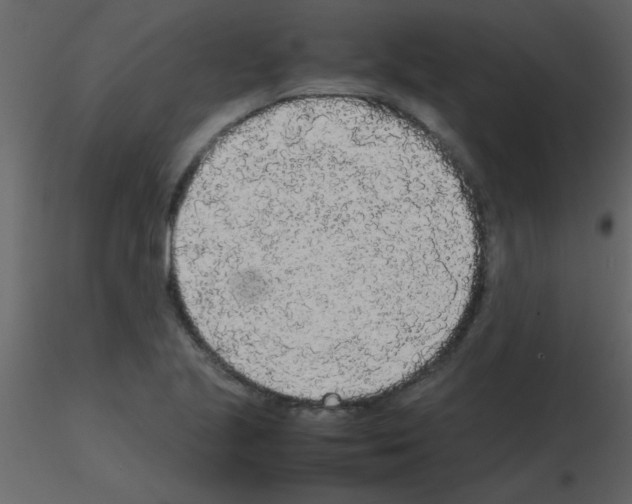 X0000115741221200912241640