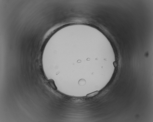 X0000115741222200912241640