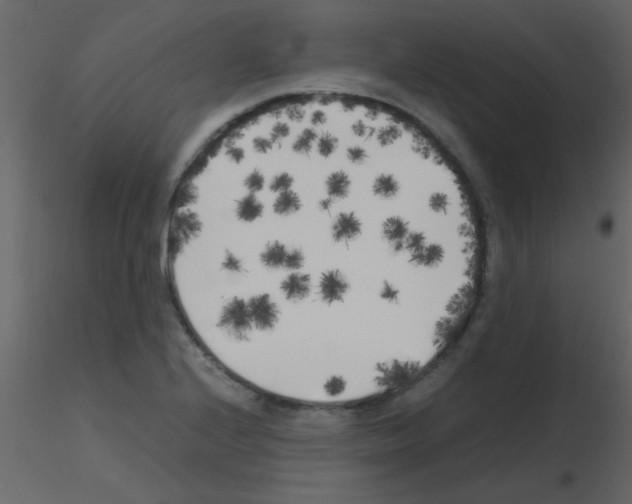 X0000115741224200912241640