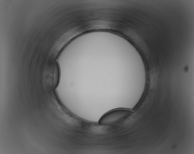 X0000115741225200912241640