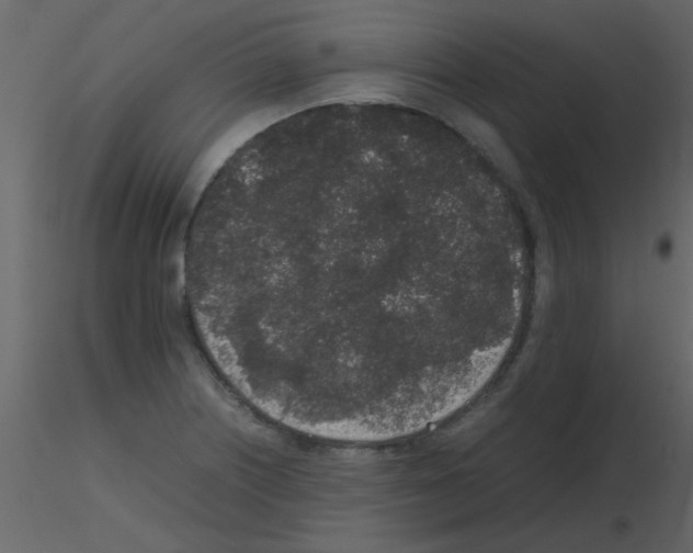 X0000115741226200912241640