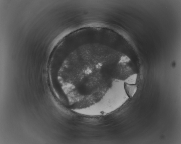 X0000115741229200912241640