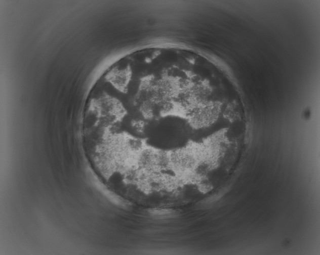 X0000115741231200912241640