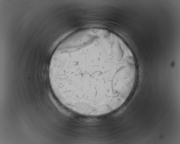 X0000115741233200912241640