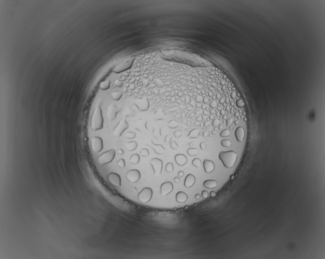 X0000115741235200912241640