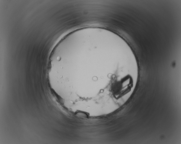 X0000115741236200912241640