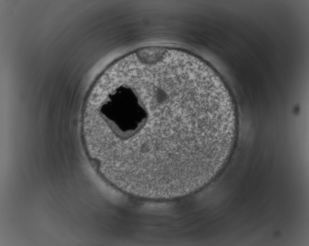 X0000115741237200912241640