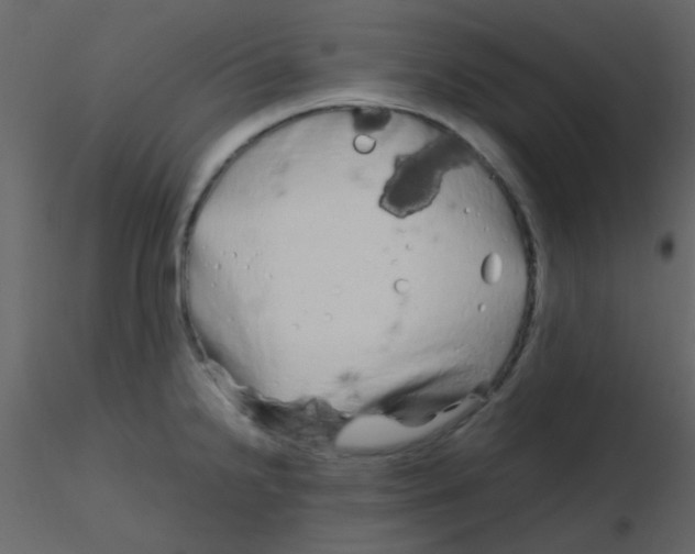 X0000115741238200912241640