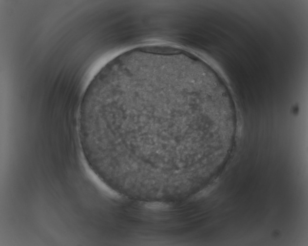 X0000115741239200912241640