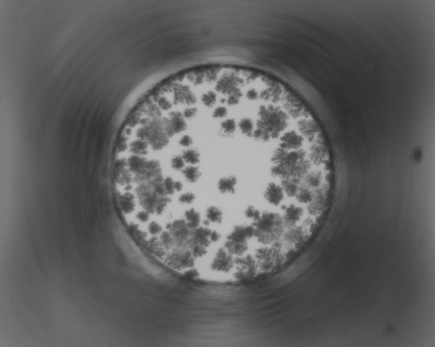 X0000115741240200912241640