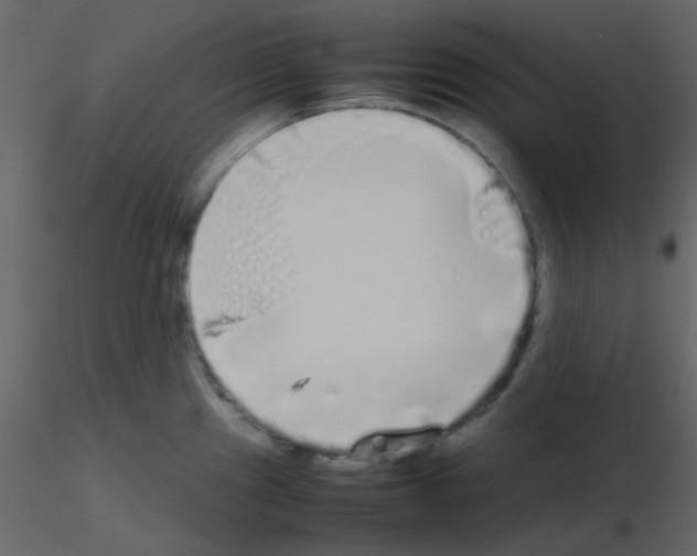 X0000115741241200912241640