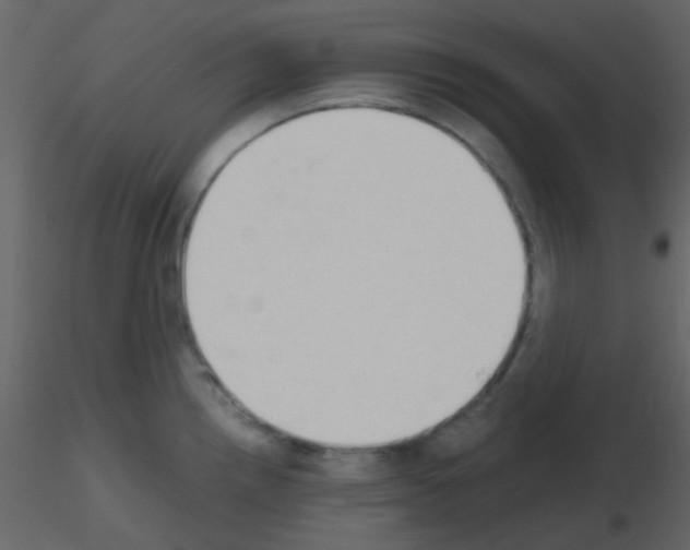 X0000115741242200912241640