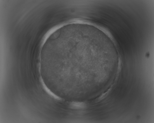 X0000115741247200912241640