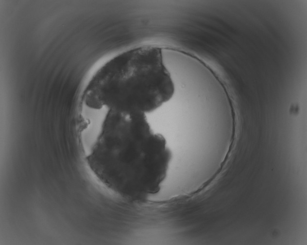 X0000115741248200912241640