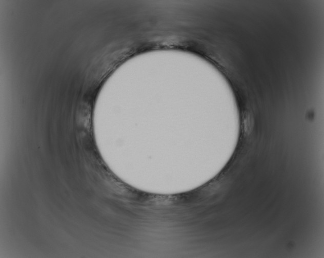 X0000115741251200912241640