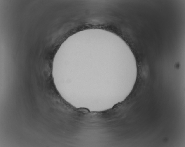 X0000115741253200912241640