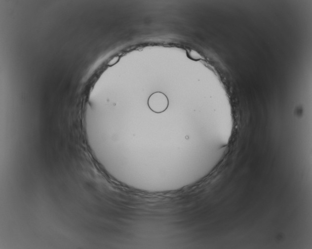 X0000115741256200912241640