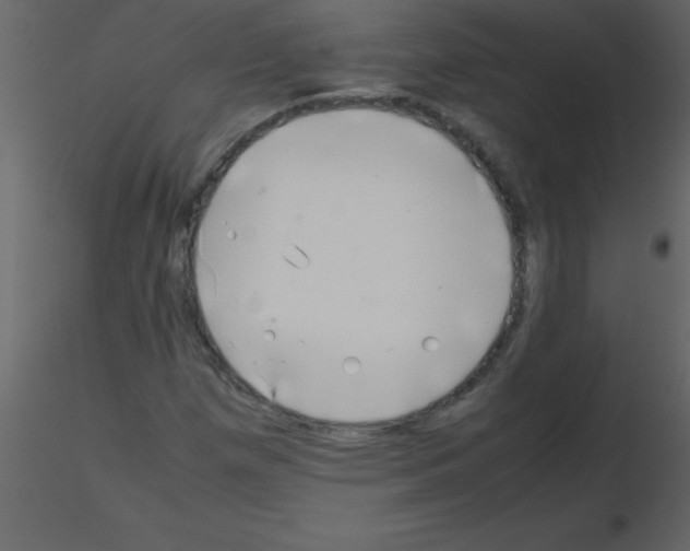 X0000115741257200912241640