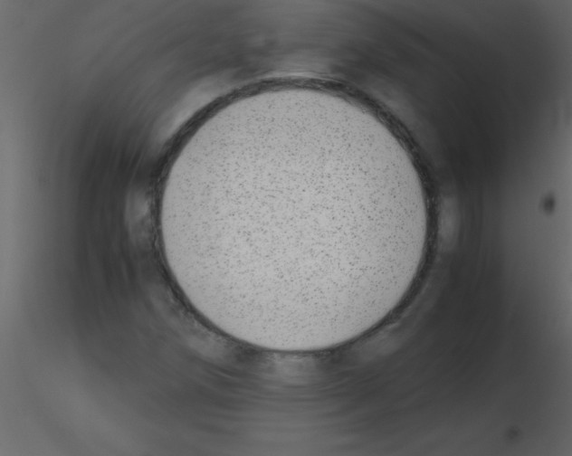 X0000115741258200912241640