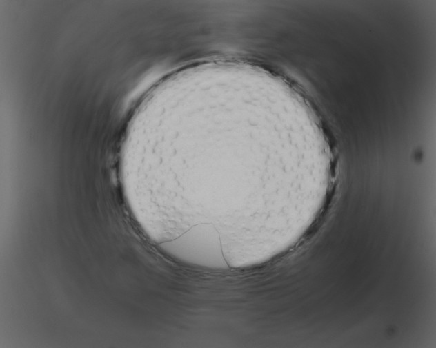 X0000115741259200912241640