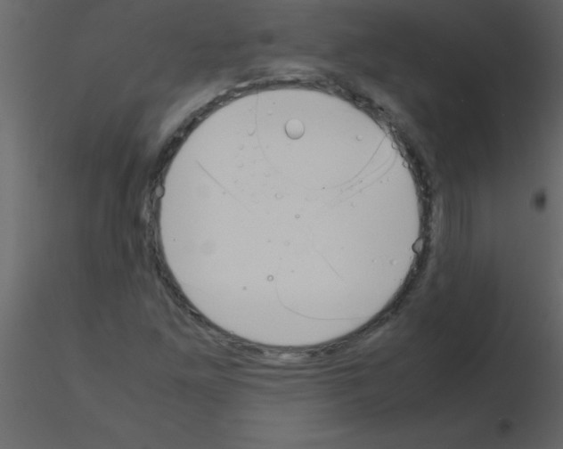 X0000115741261200912241640