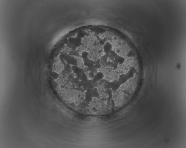 X0000115741263200912241640