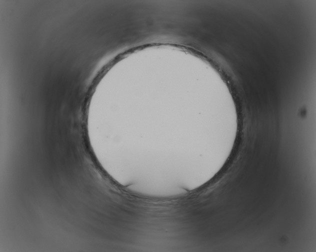 X0000115741264200912241640