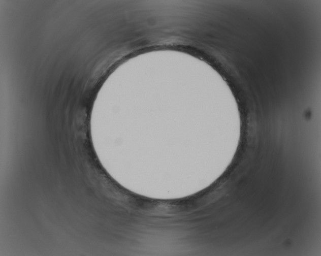 X0000115741265200912241640