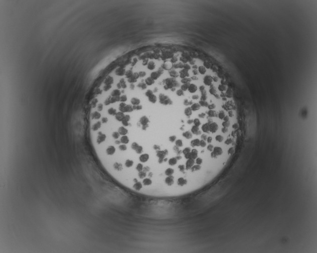 X0000115741266200912241640