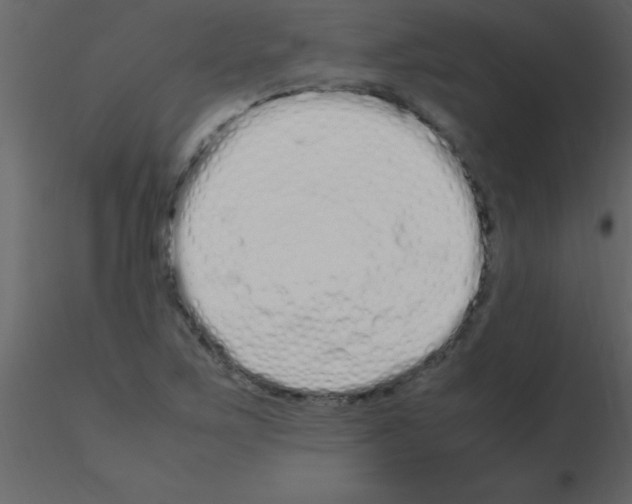 X0000115741267200912241640